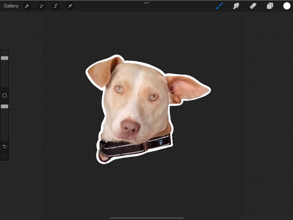 creating stickers in procreate from a photo